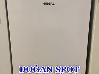 Spotçu Regal Mini Buzdolabı Alanlar